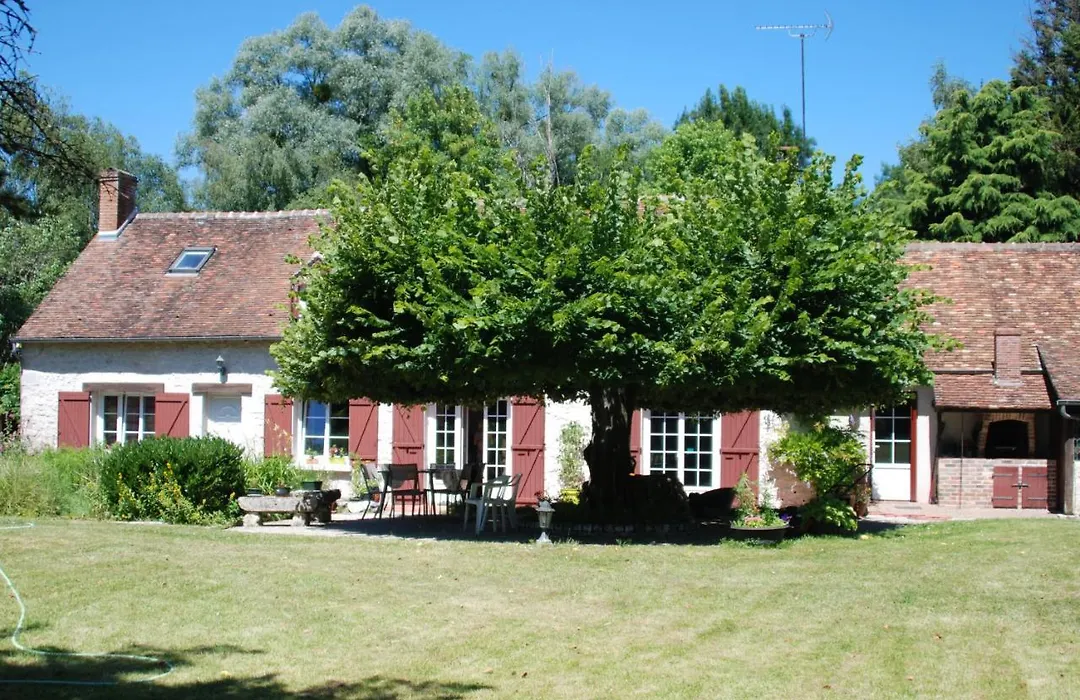 La Petite Marguerite-1