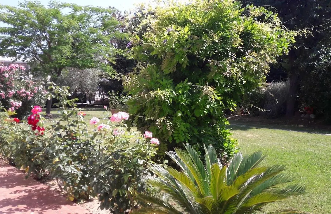 Villa Fabbri-1