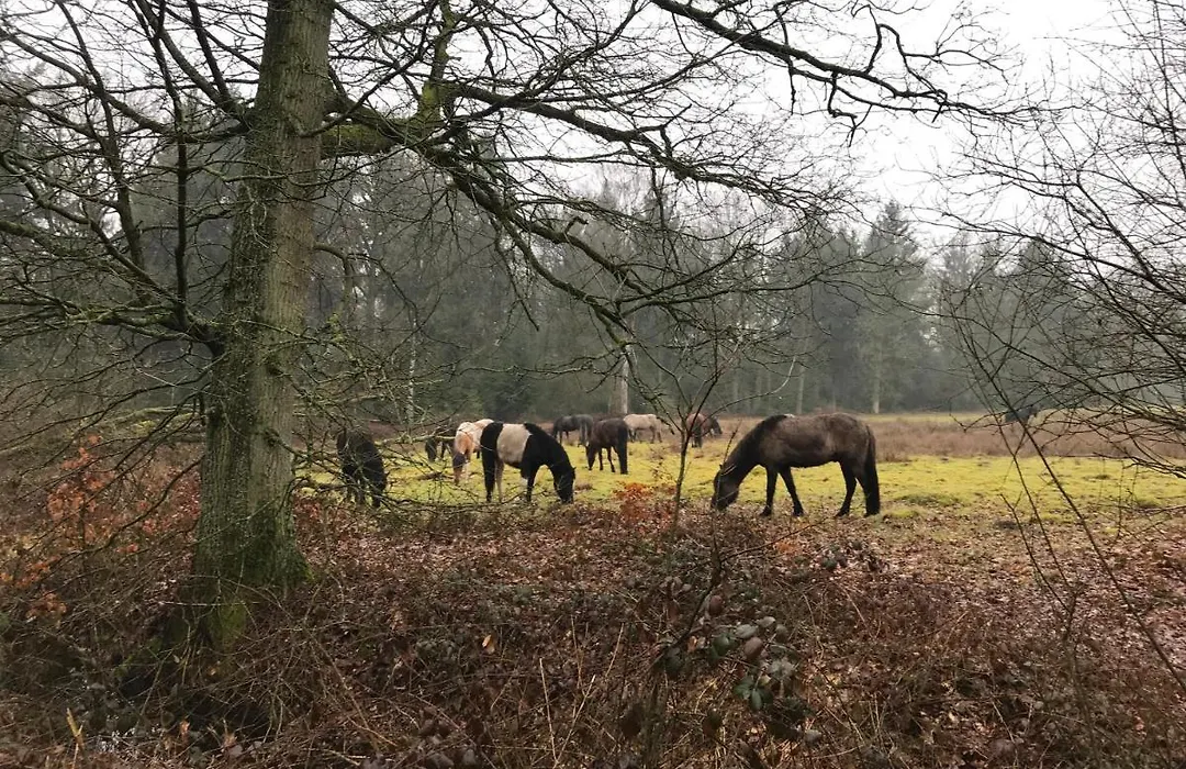 De Kempse Hoeve B&B-1