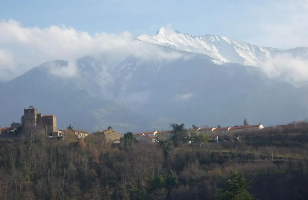Chez Vivi-1