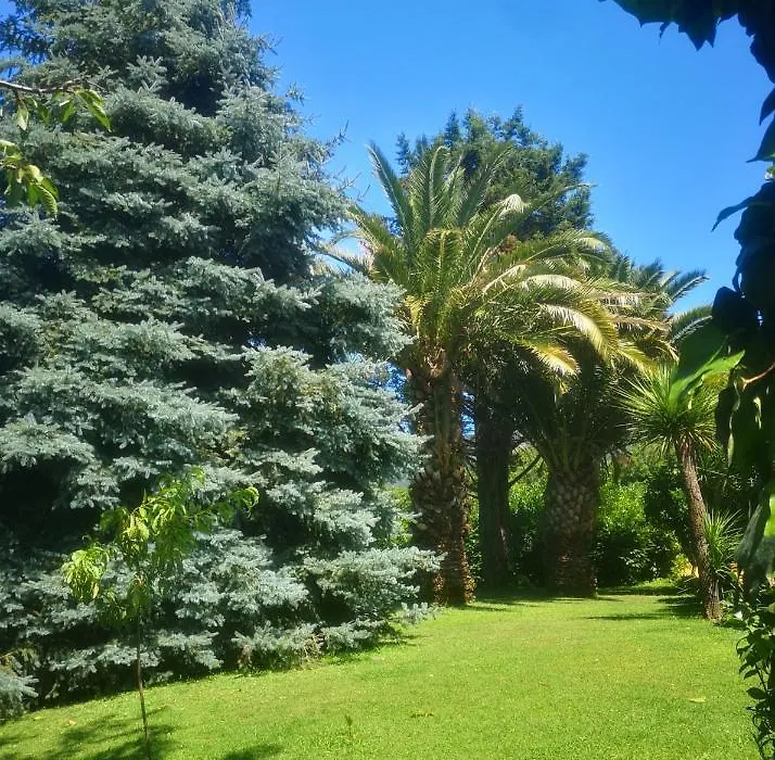 Villa Luisa-1