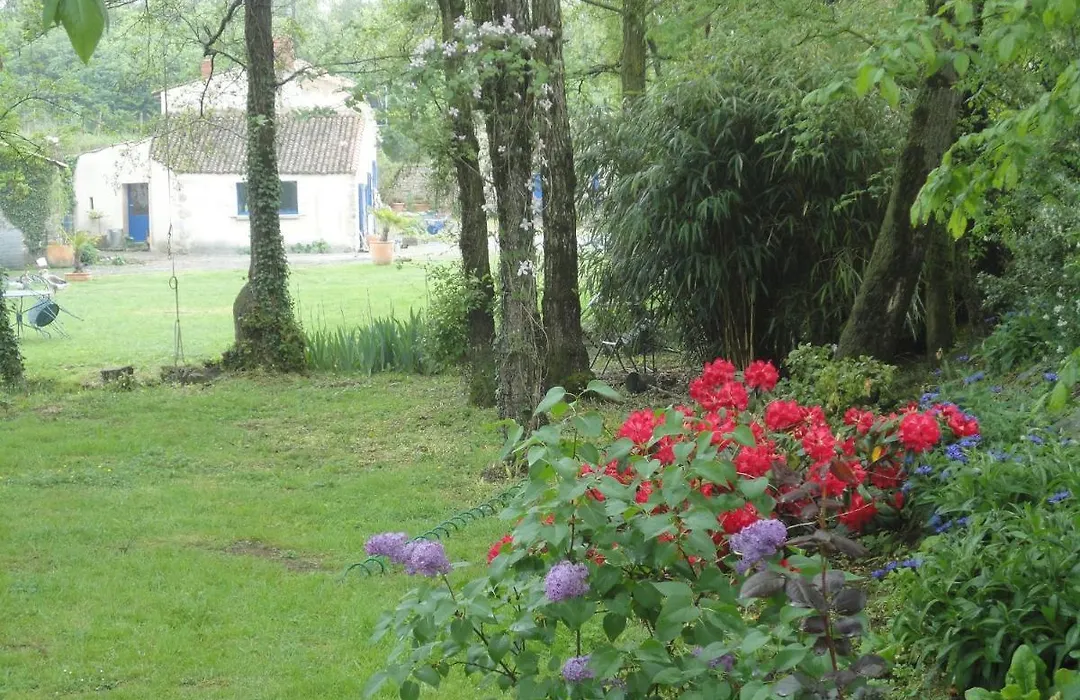 La petite Vallee-1