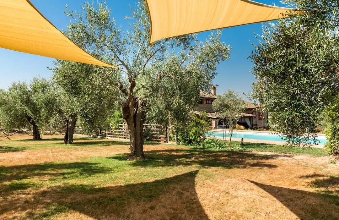Il Barbagianni-1