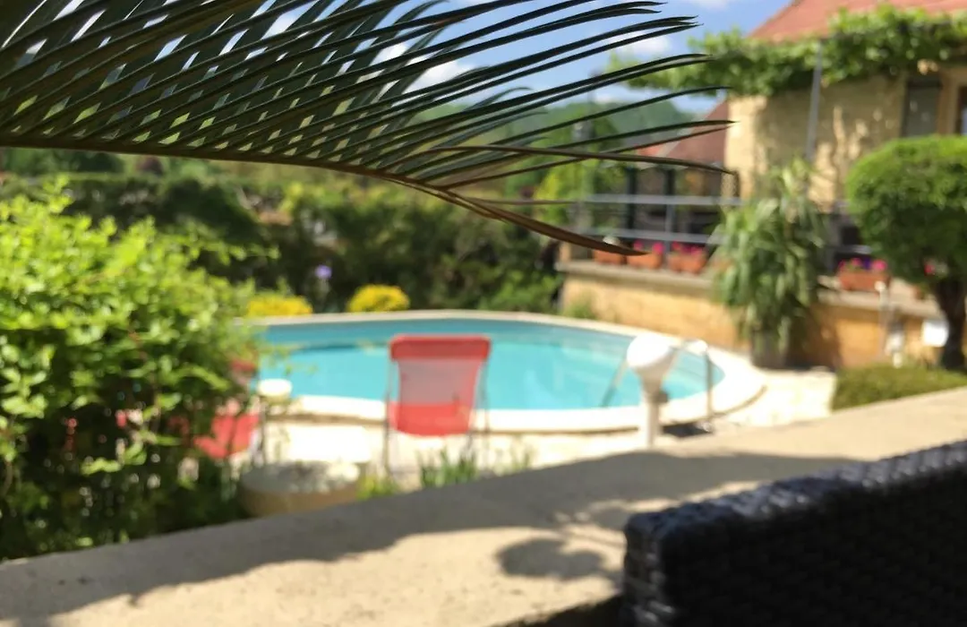 La Belle Demeure Proche Sarlat-1