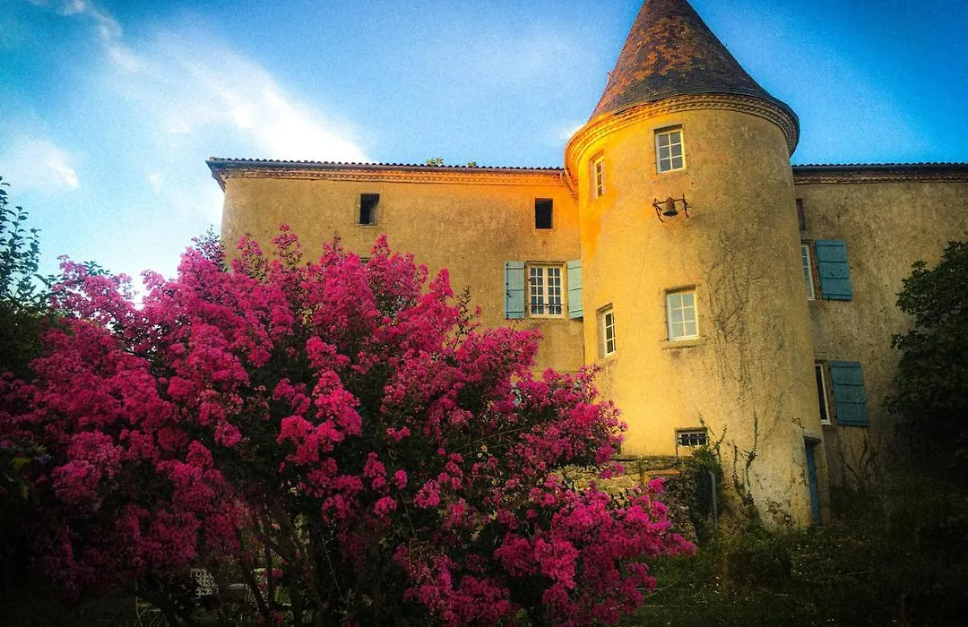 Chateau Gros Puy, Petit Chateau Chambre D'Hote-1