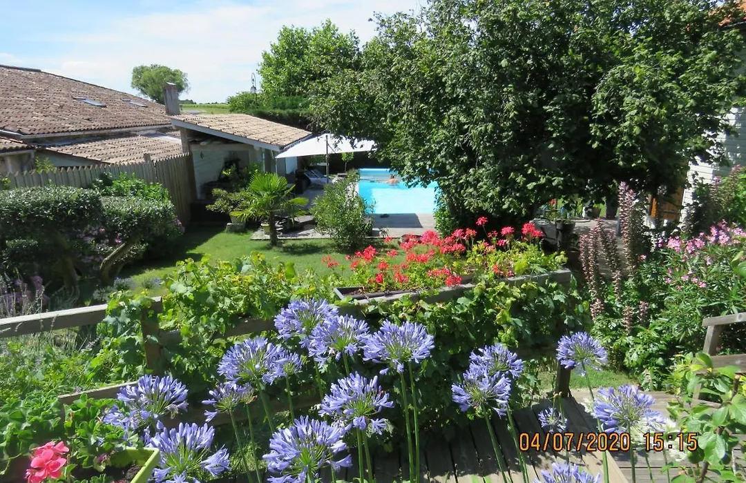 Les Arums de Fondeminjean-1