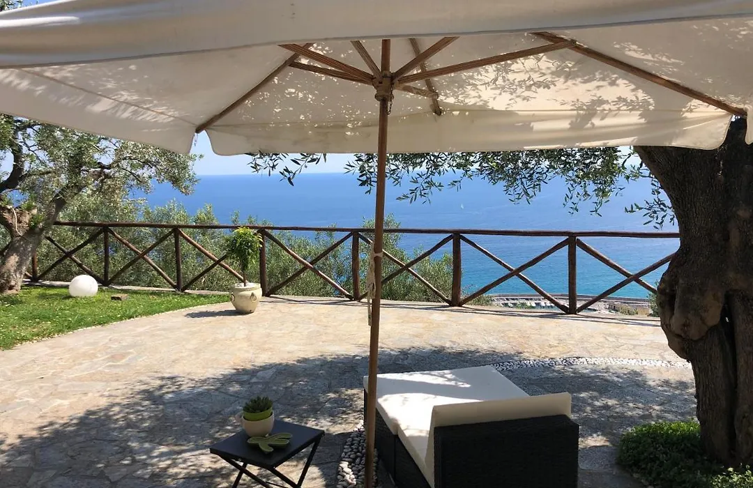 Villa Degli Ulivi B&B-1