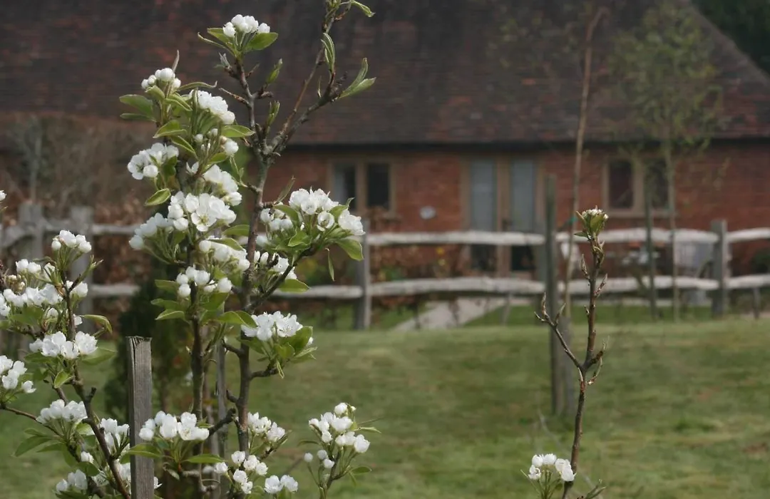 Three Chimneys Farm Accommodation-1