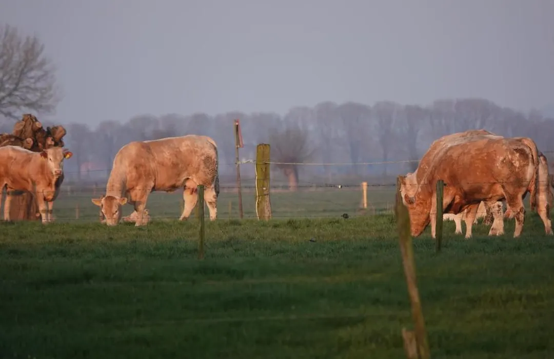 B&B Bij Bronckhorst-1