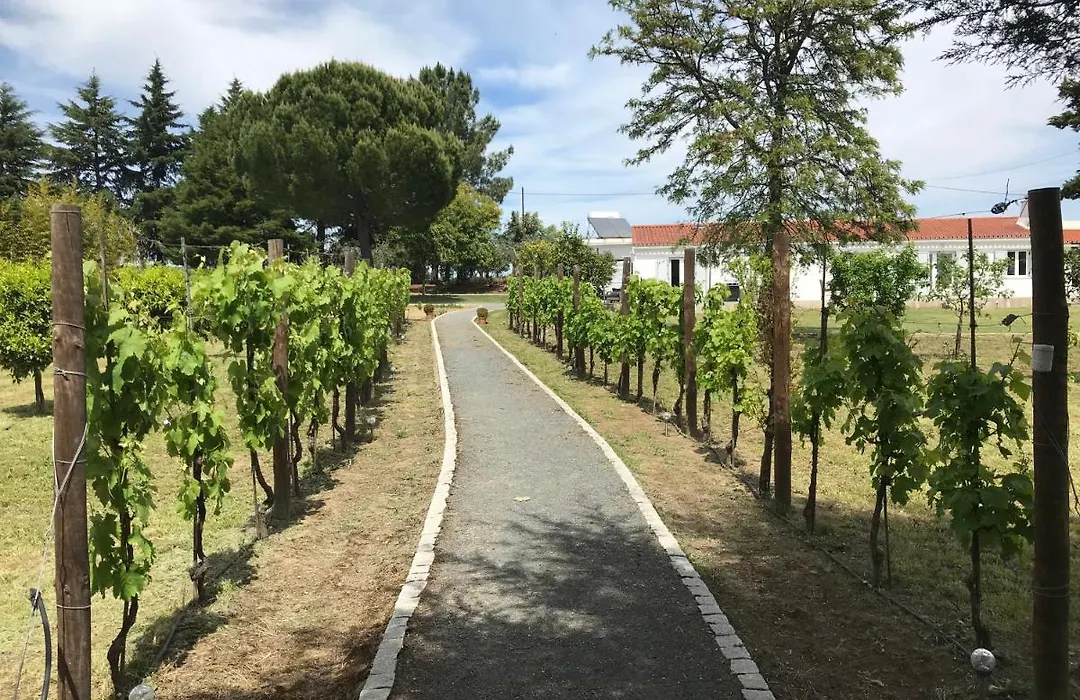 Horta Da Rosa - Adults Only-1