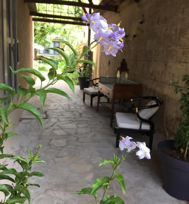 Un Jardin En Ville-1