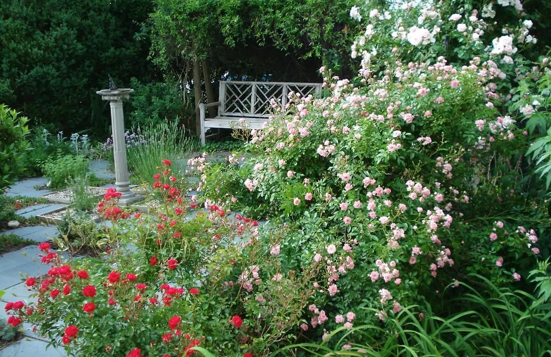 Newport House Bed & Breakfast-1