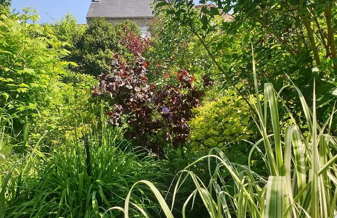 La petite maison du jardin d'Apollon-1