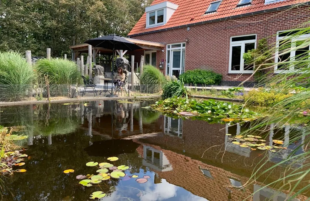 Het Pauwtje-1