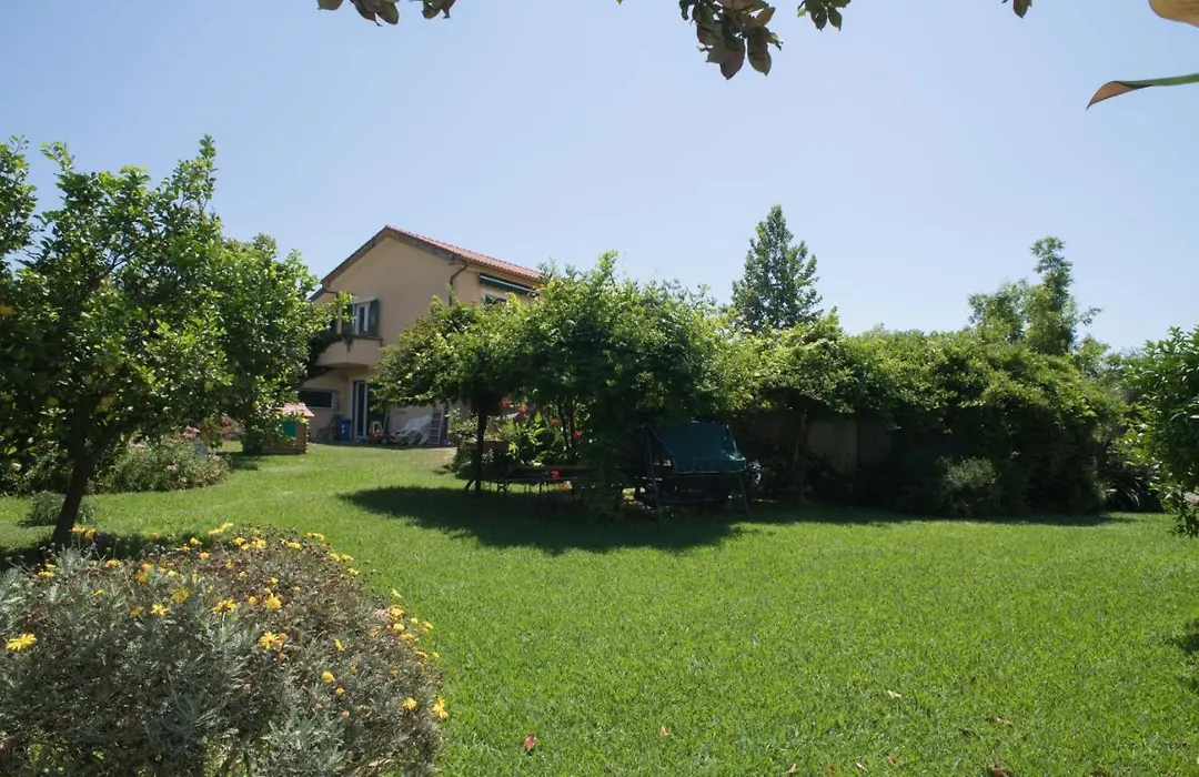 B&B La casa dei gelsi-1