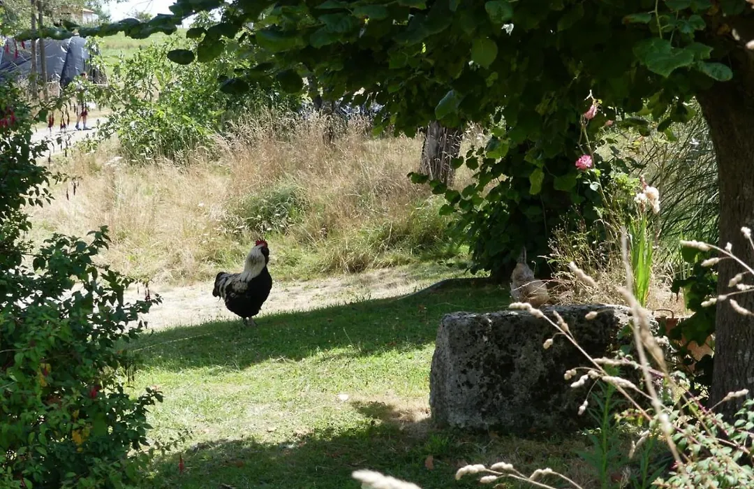 Maison Du Cheval-1