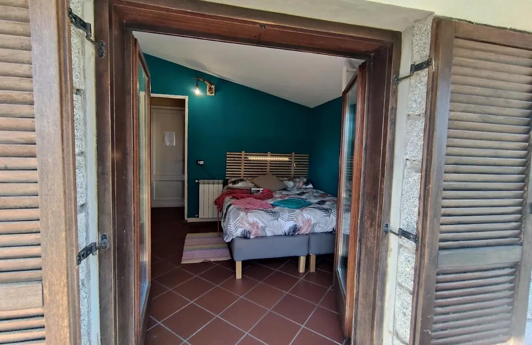 B&B Taccu Maccu-1