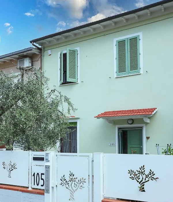 B&B Ulivo Gaio-1