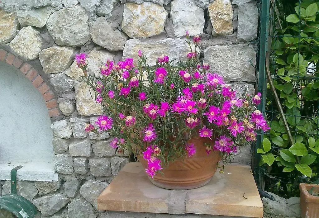 Il Merlo-1