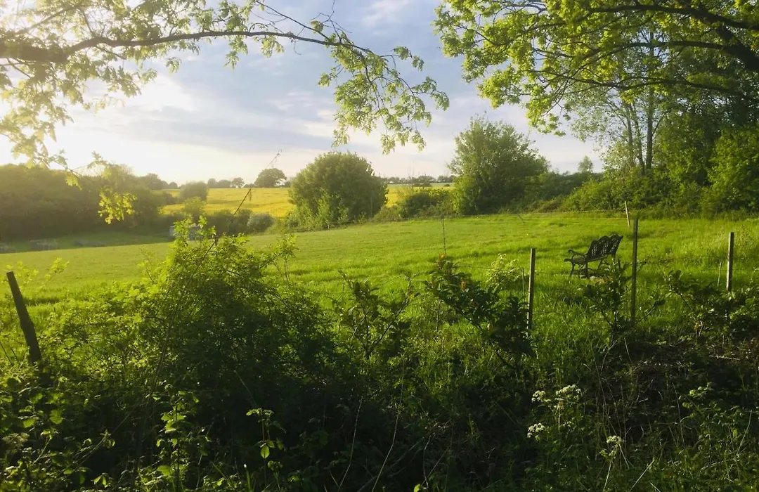 Blyth Lodge B&B-1