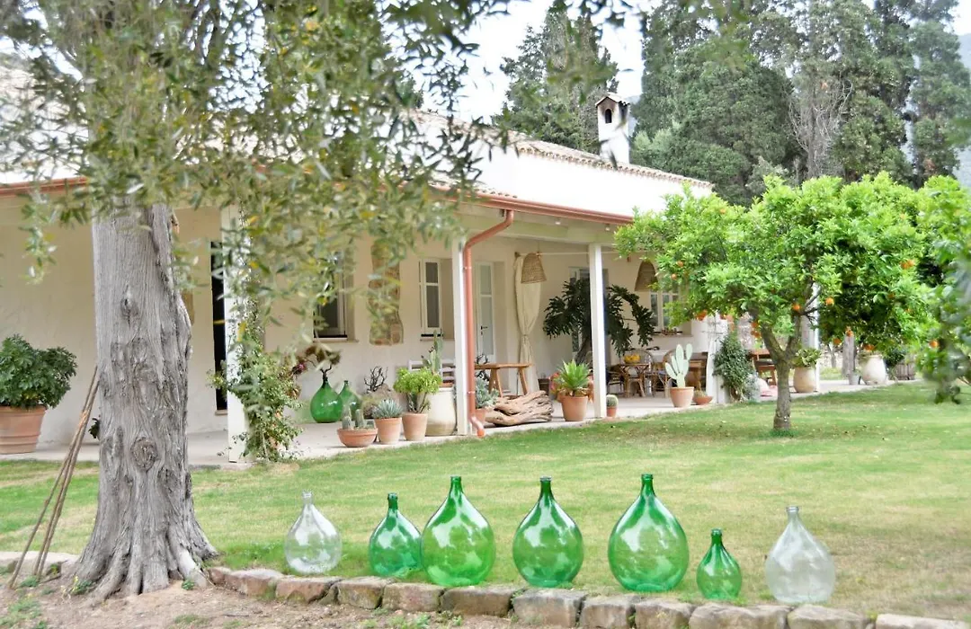 B&B Giallo Limone-1