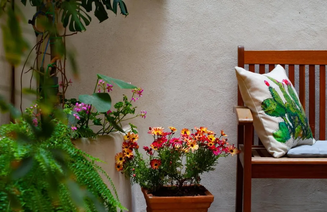 B&B Carella-1