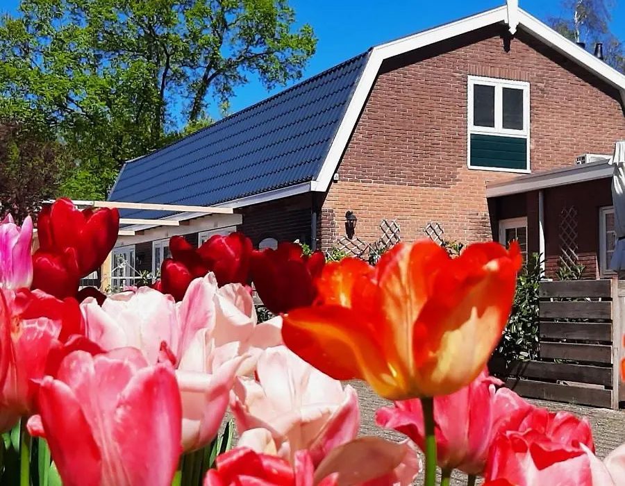 B&B De Hoffstal-1