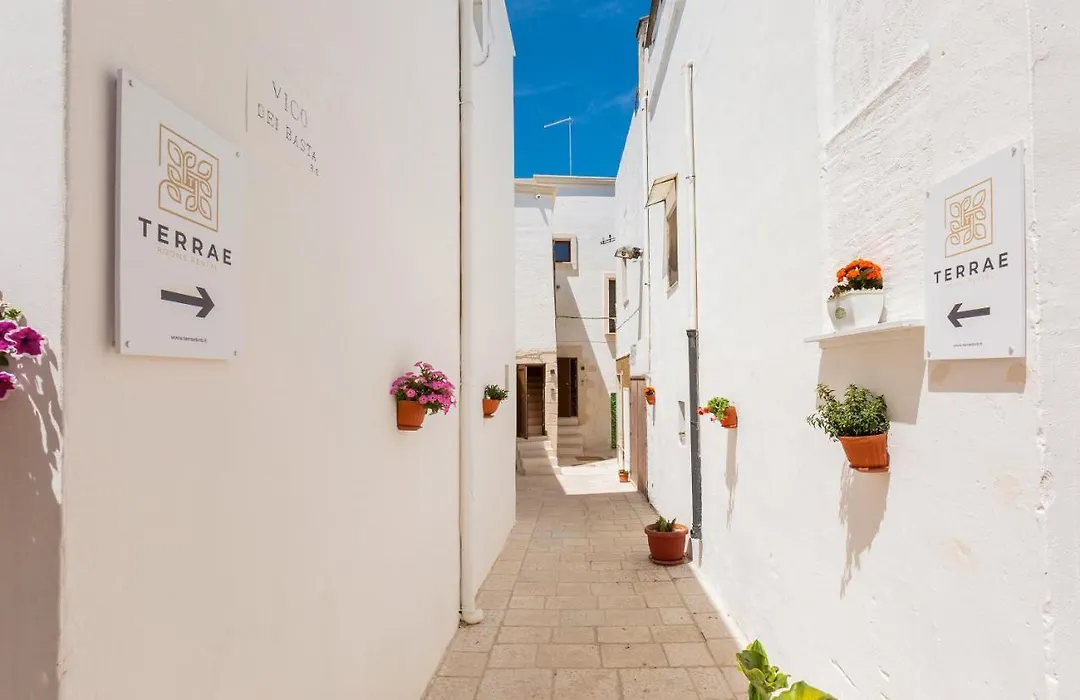 Terrae Rooms Rental-1