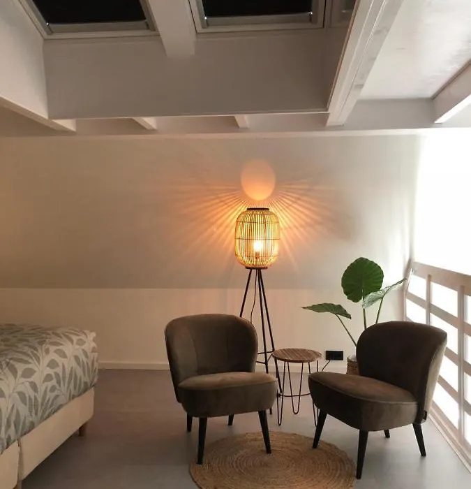 B&B Onderderietenkap-1