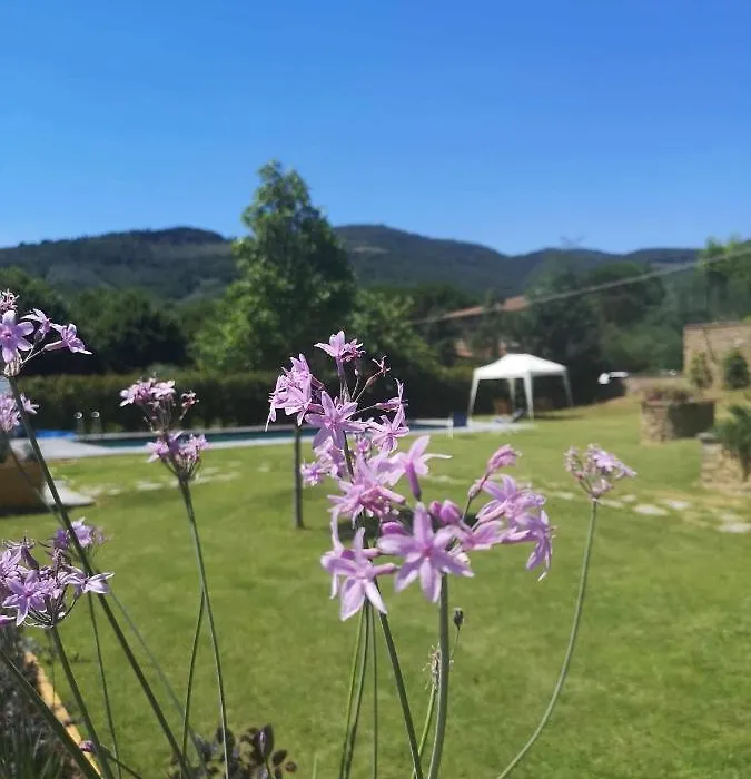 Alba Morus Bed & Breakfast, Sentiti A Casa Nel Cuore Della Toscana-1
