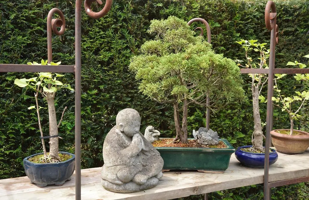 Casa Di Fiore-1