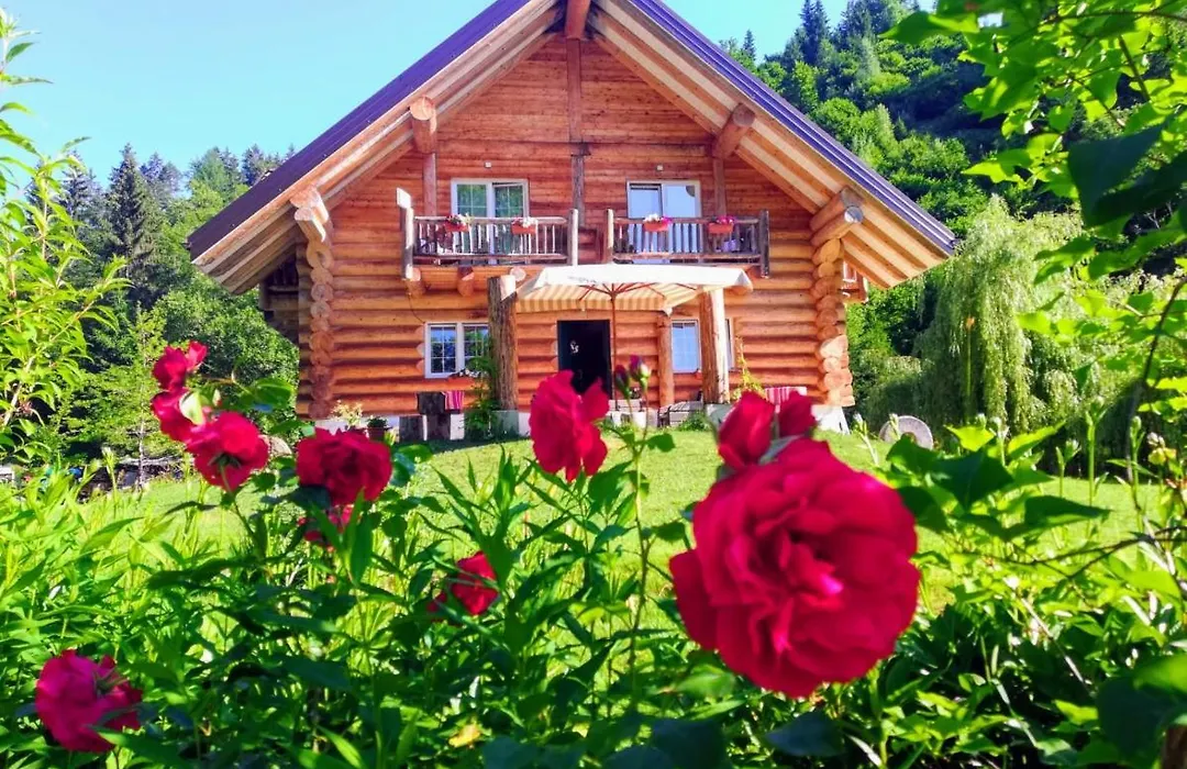 Chalet Le Dorf-1