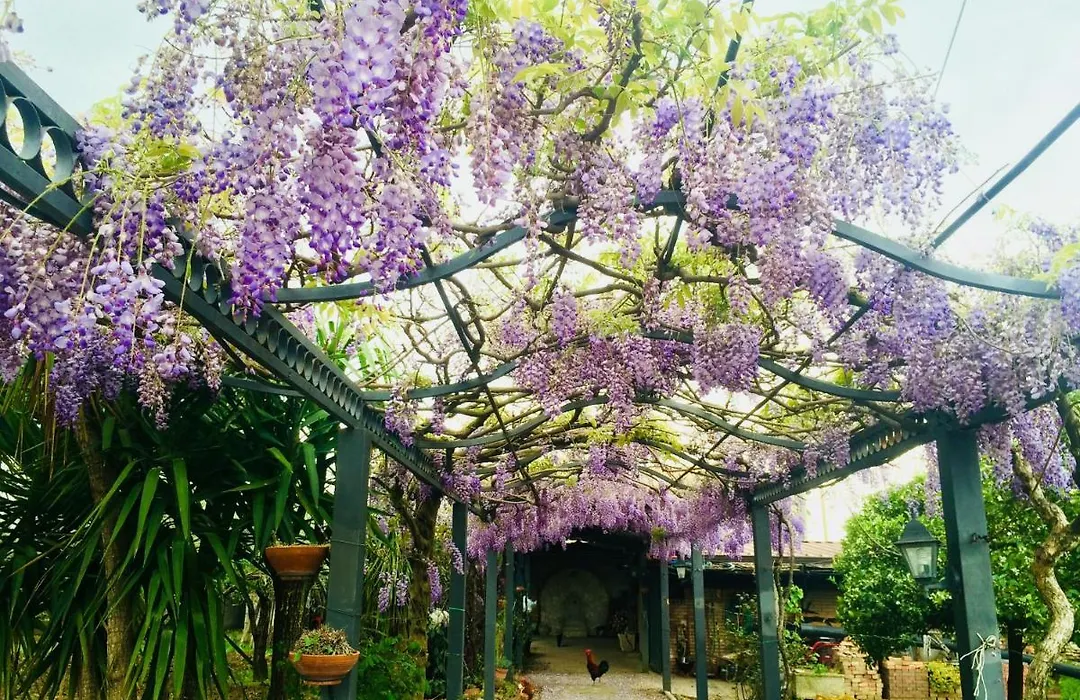 Casa Vacanze San Paolo-1