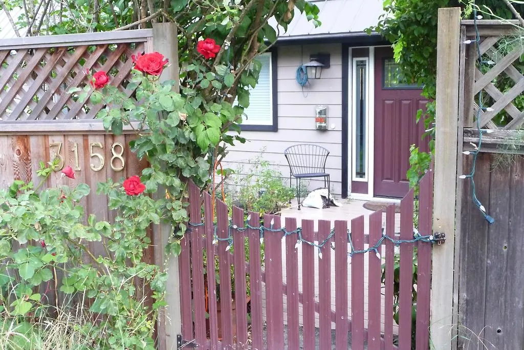 Cycle Inn Bed And Breakfast-1