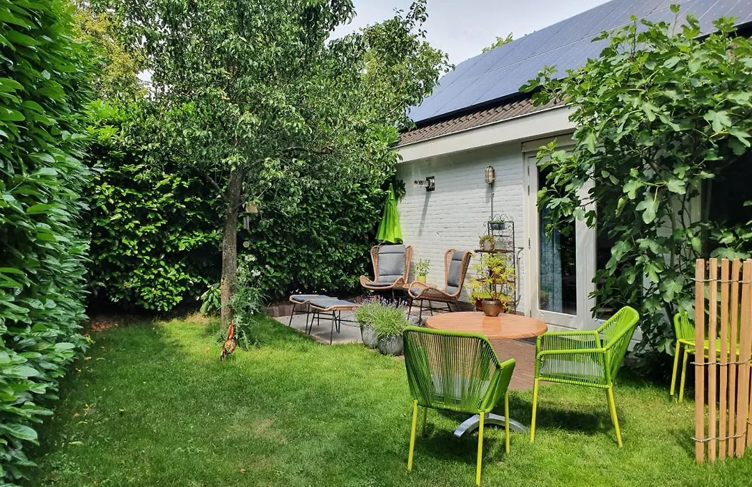 Bed&Breakfast en Studio Het Atelier-1