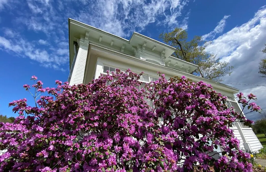 Bloom Farm Guesthouse-1