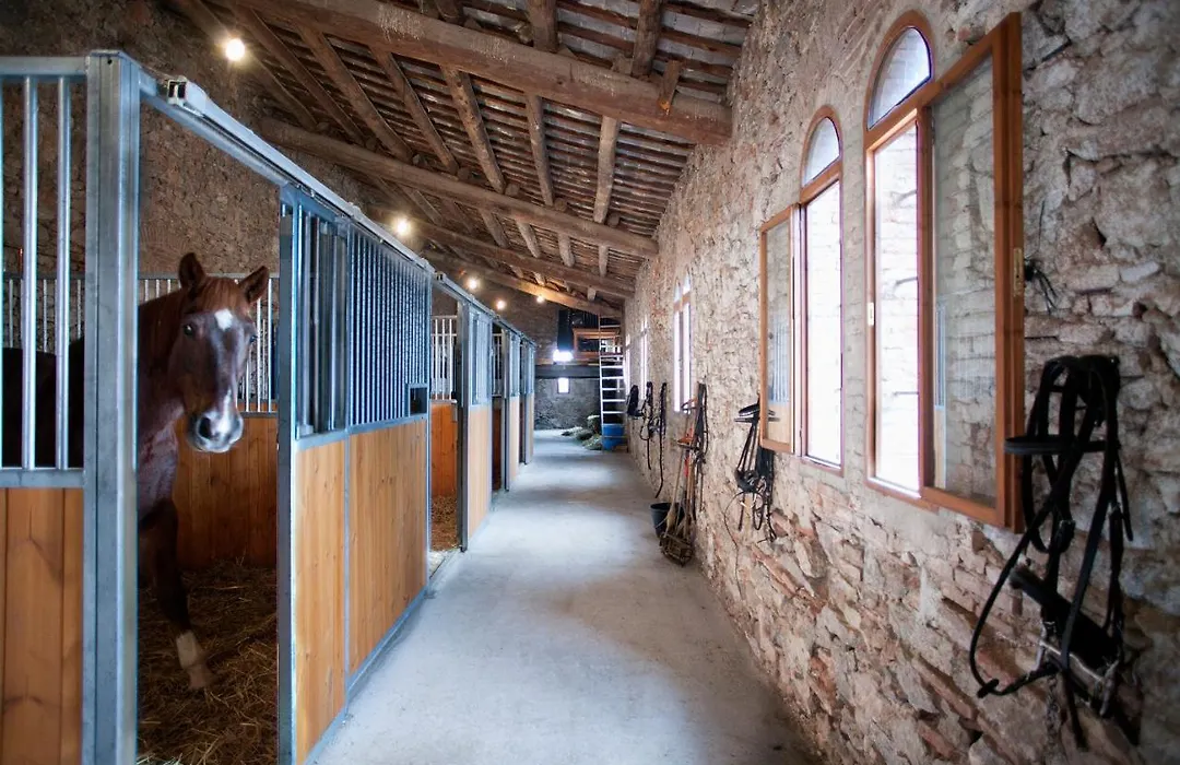 Can Borrell Villa Carmen-1