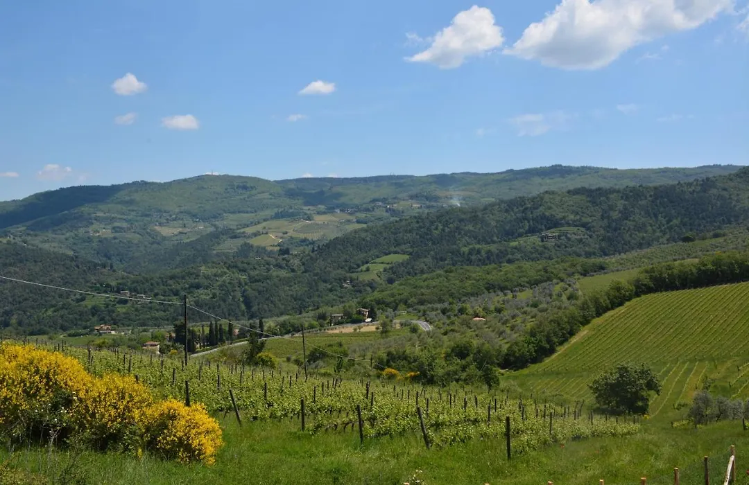 Rosso Del Chianti-1