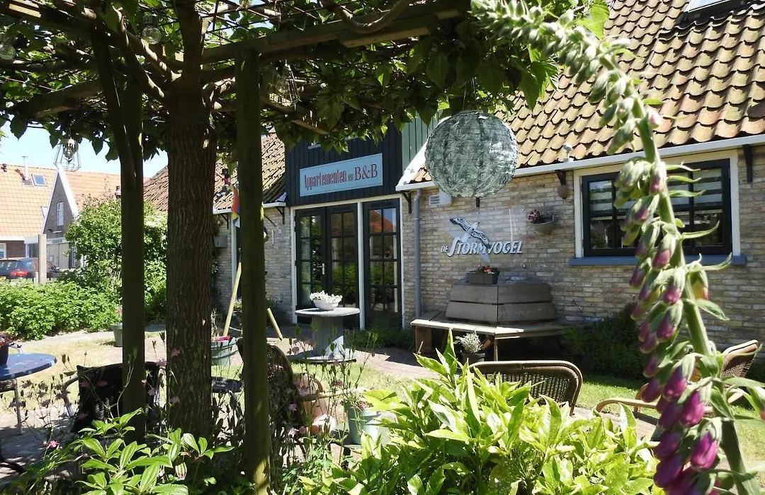 De Stormvogel-1