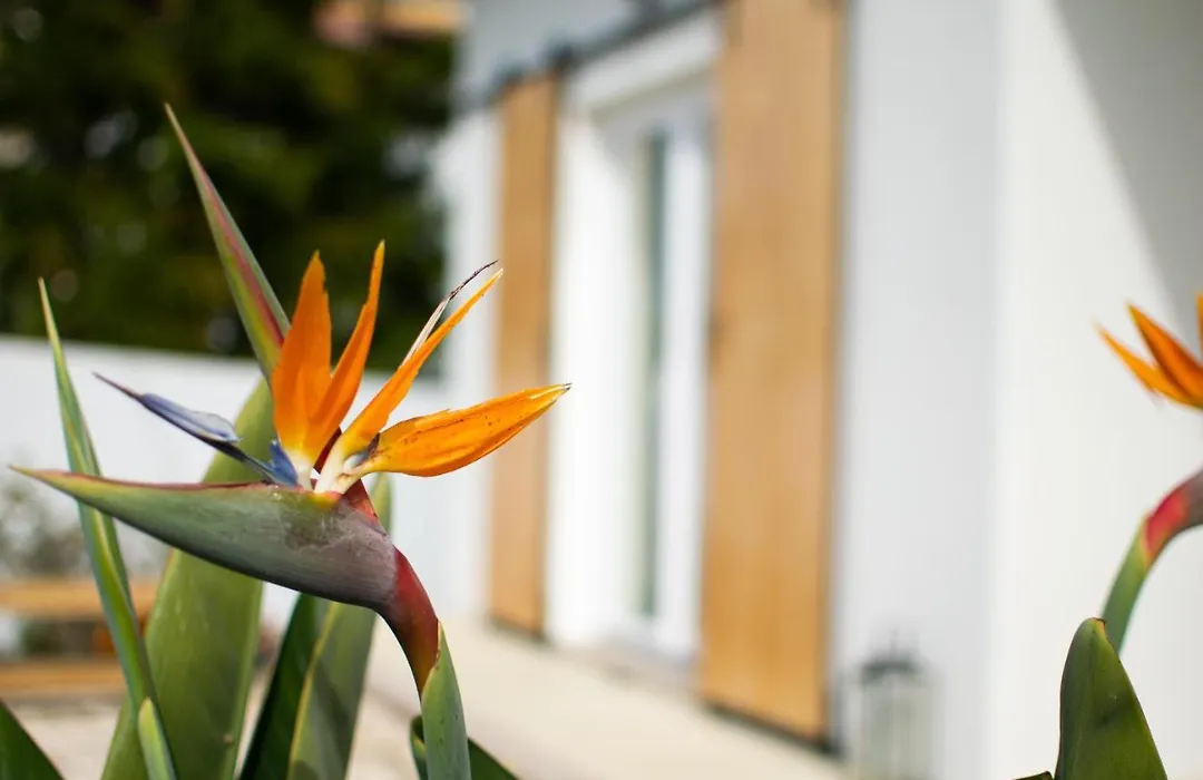 Casa-Simplicity Gelder Zetten Lda-1
