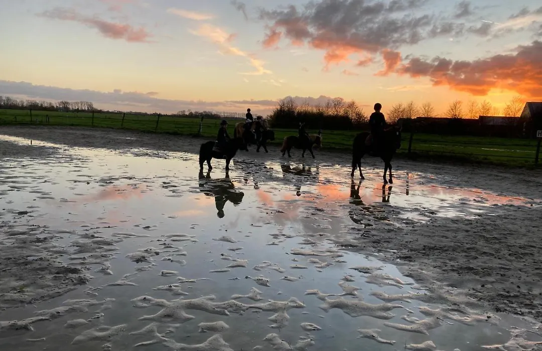 The Horse Farm-1
