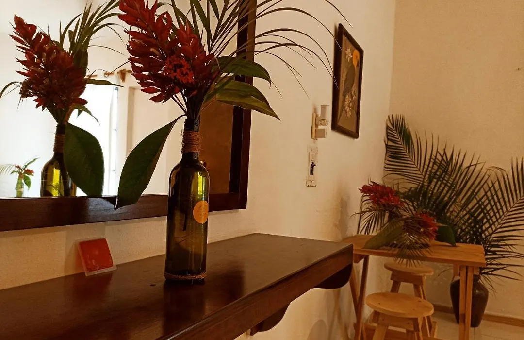 Casa De Los Pájaros - B&B-1