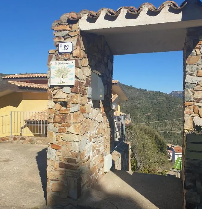 Il Vecchio Ulivo Sa Tanca-1