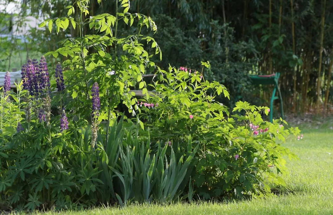 Les Arts Verts-1