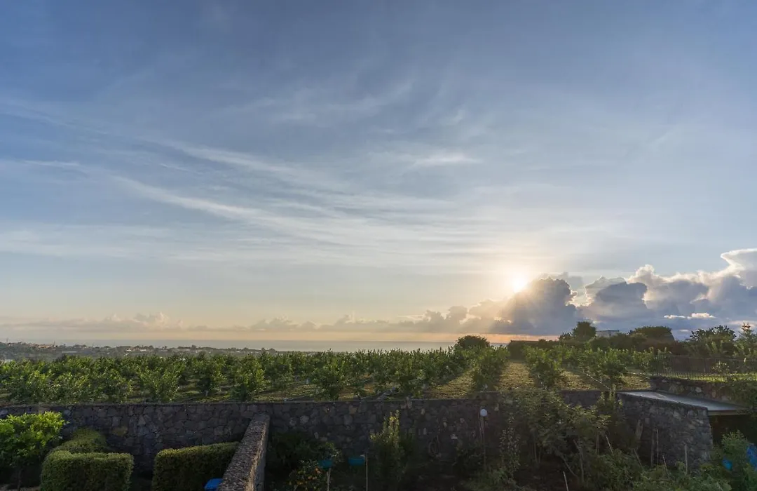 B&B Il Vulcano-1
