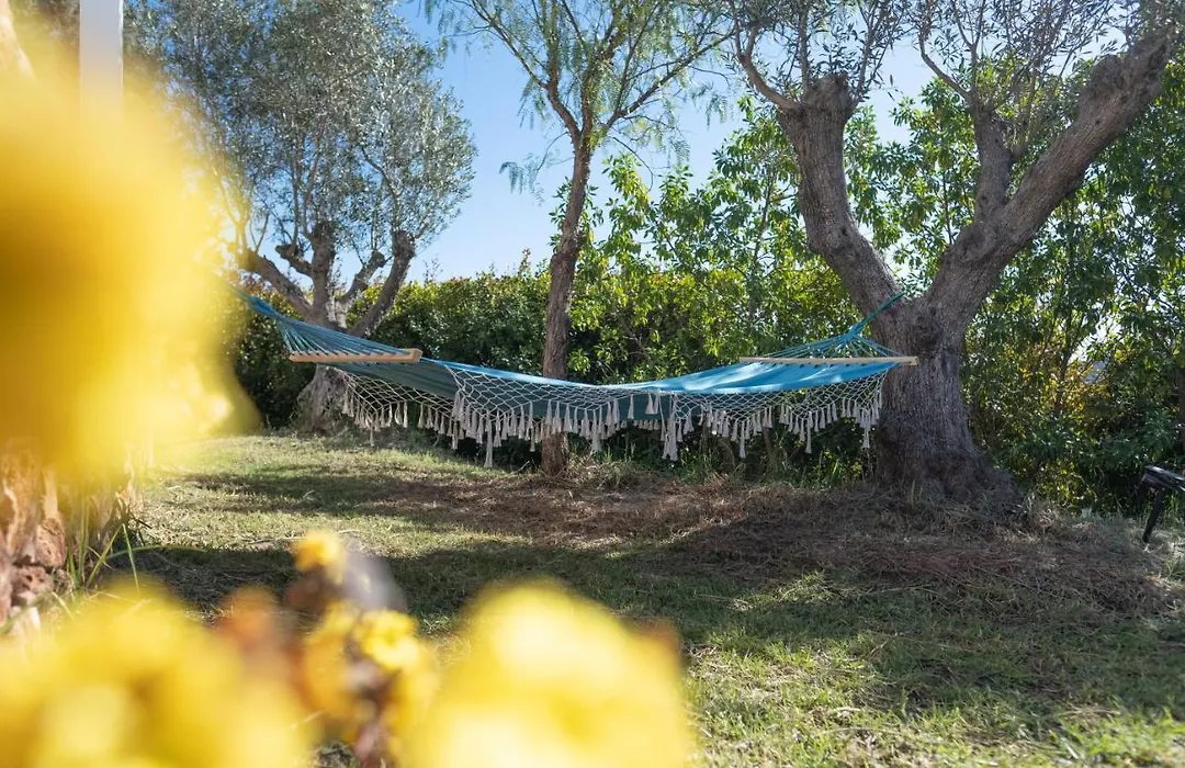 Gato Preto De Silves - Adults Only-1