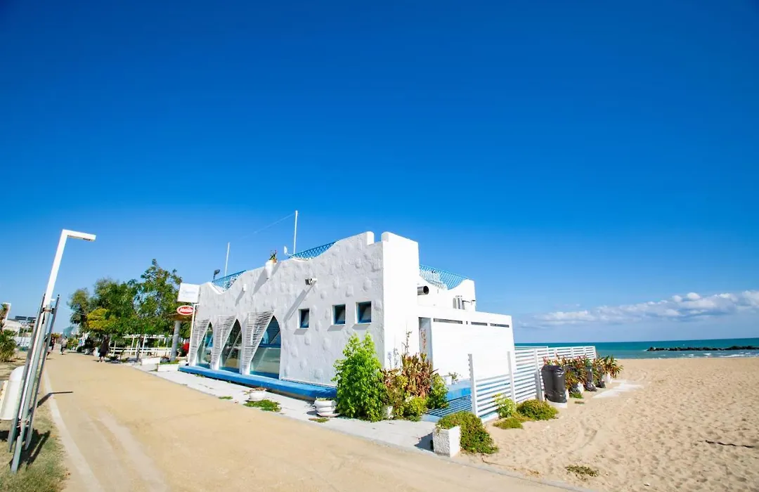 B&B Dream-1