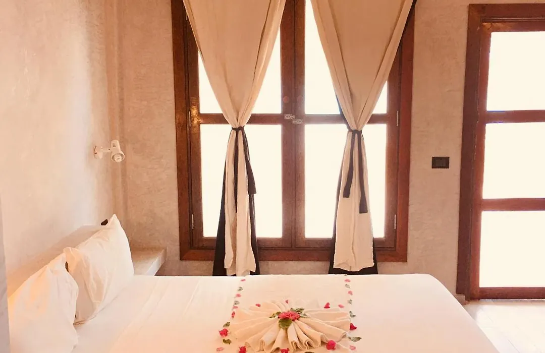 White Dream Lodge & Restaurant, Beach Front, Ocean View-1