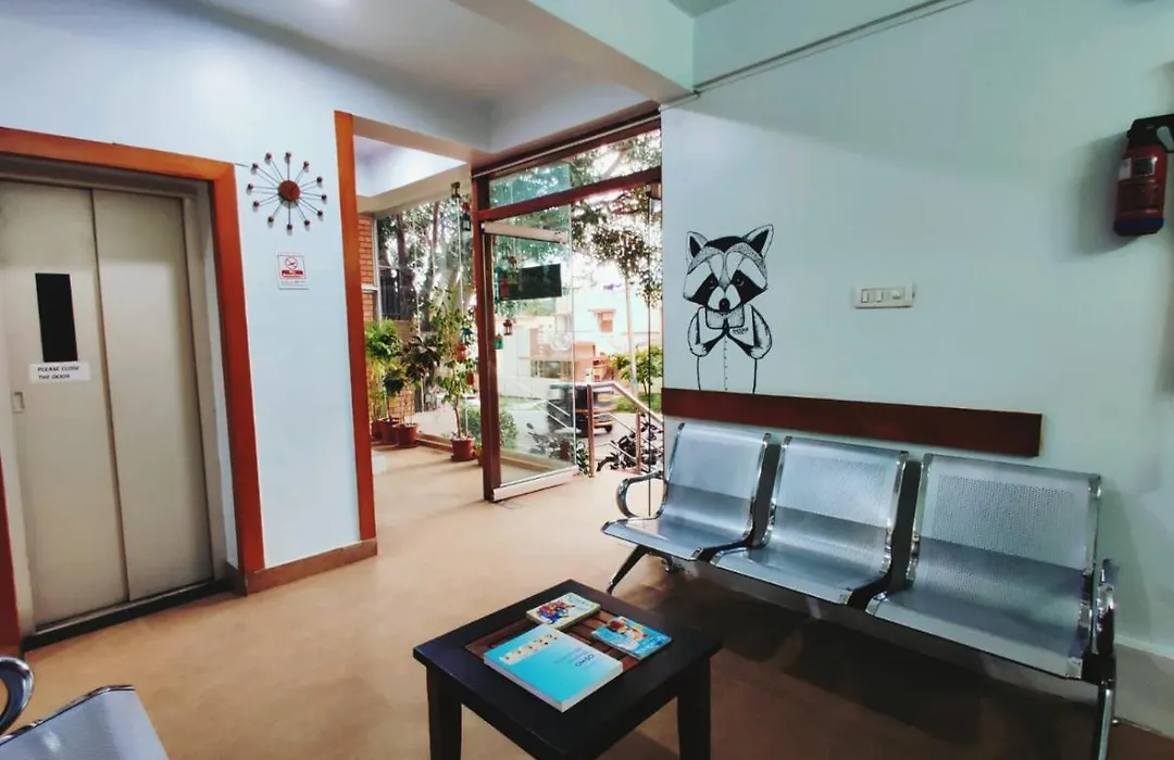 Raccoon Rooms-1