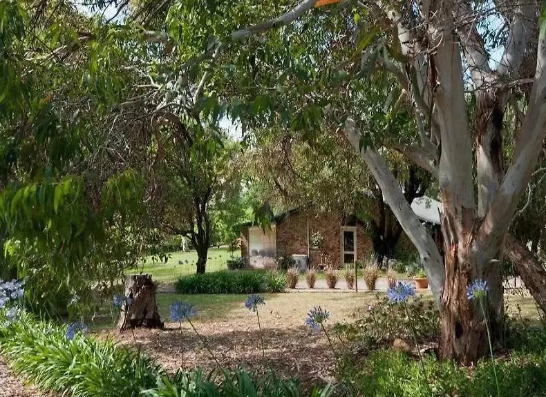 Blickinstal Barossa Valley Accommodation-1